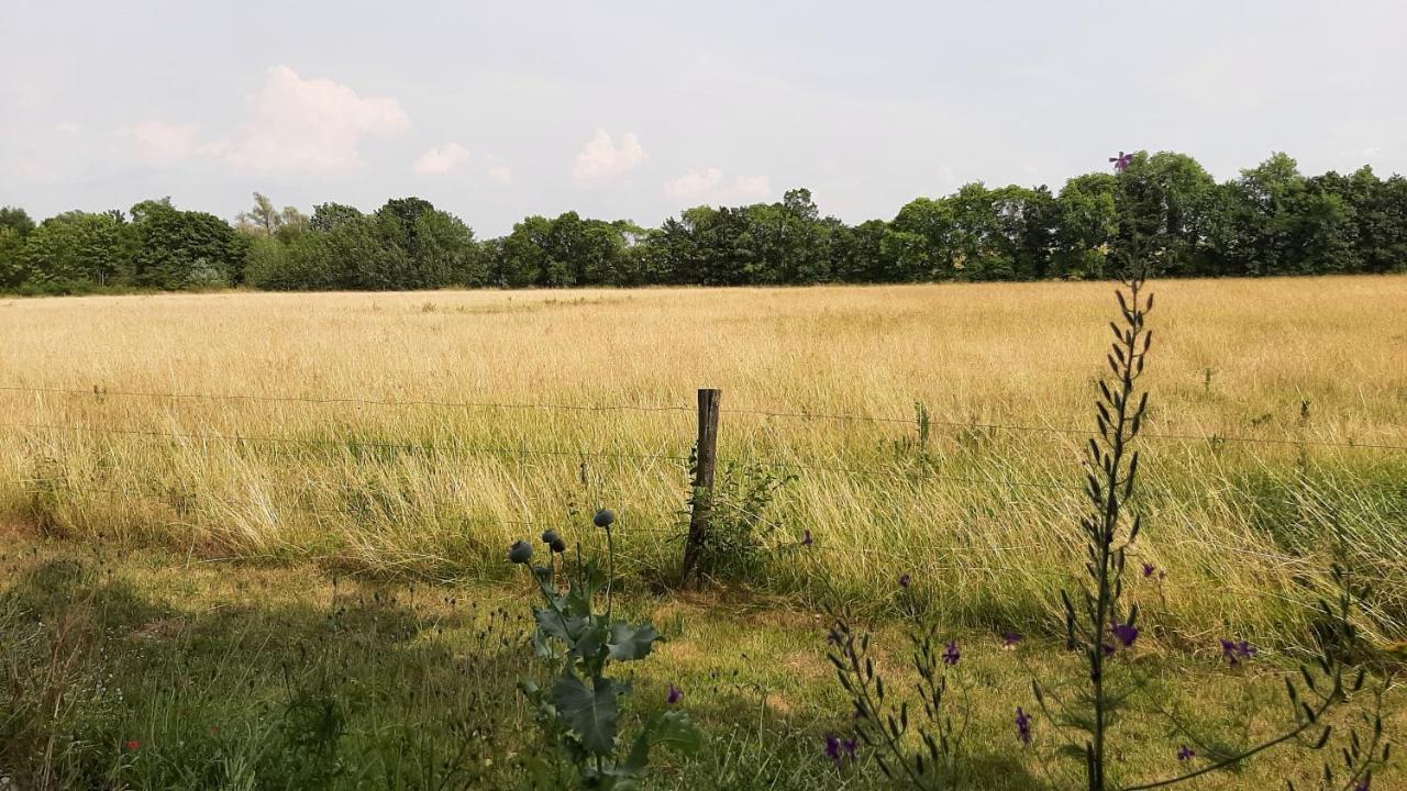 Biesboschbest Werkendam Exterior foto