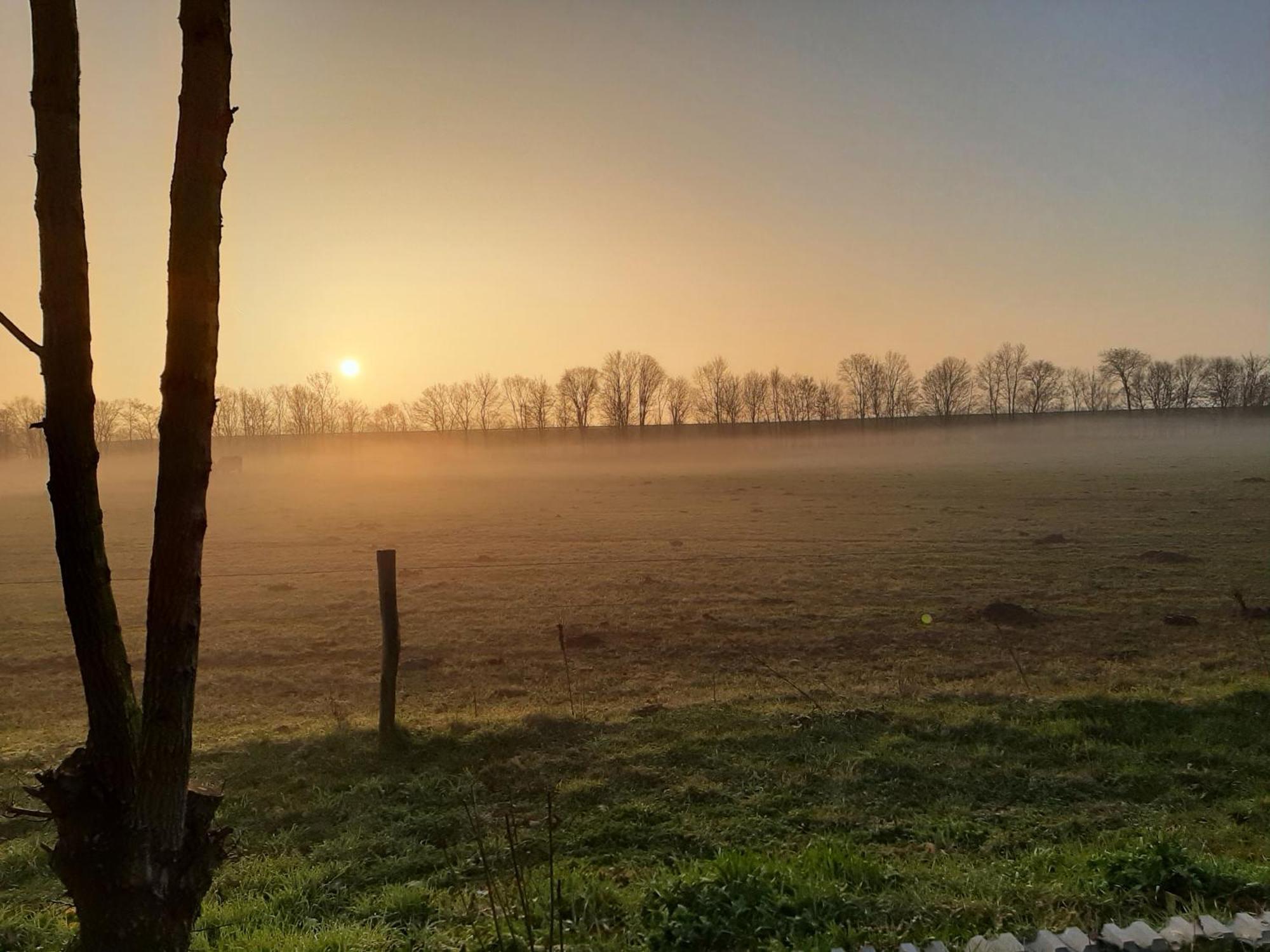 Biesboschbest Werkendam Exterior foto